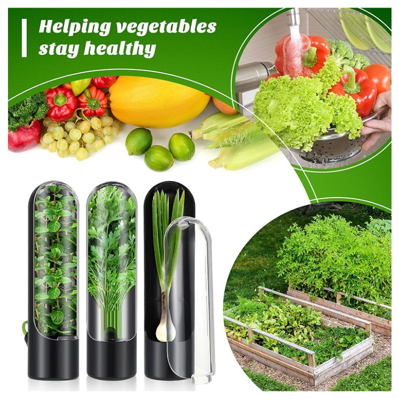 Herb Keeper Container - 1/2/3PCS Herb Saver Storage Container Fresh