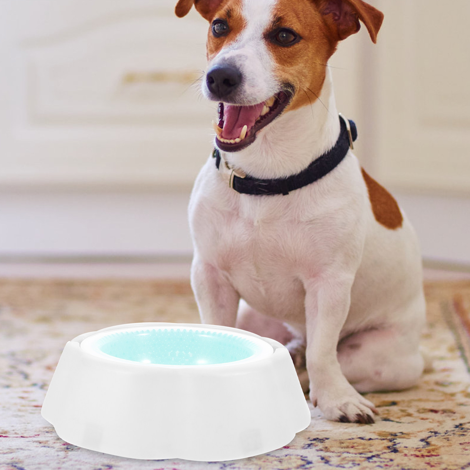 1Pcs Pet Cooler Bowl Premium P - đánh giá và giá Storage Tips For Food