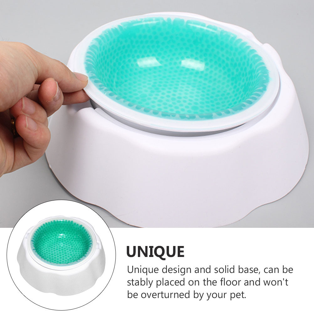 1Pcs Pet Cooler Bowl Premium P - đánh giá và giá Storage Tips For Food