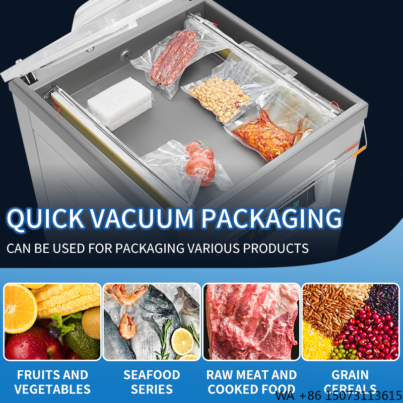 DZ-500  Vertical Single Chambe - đánh giá và giá Vacuum Sealer Bag