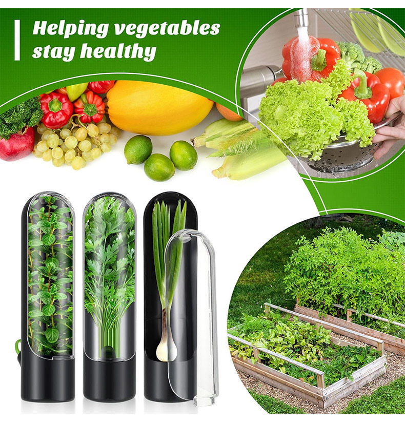 Vegetables Fresh Preservation  - đánh giá và giá Herb Keeper Container